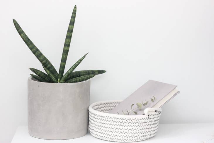 Concrete Cement Cylinder Planter Pot | 5"