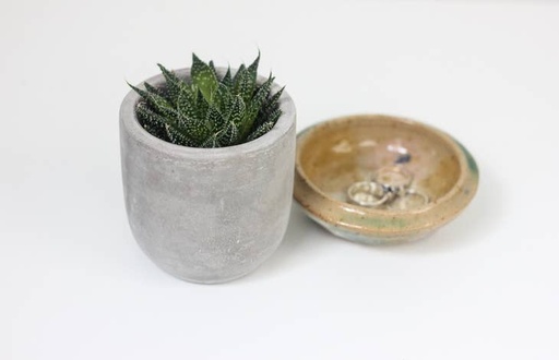 Round Concrete Indoor Planter Pot | 3"