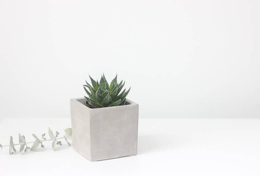 Concrete Cement Square Cube Planter Pot | 3"