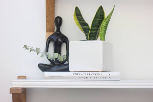 Ceramic Cube Planter In Matte White | 3"