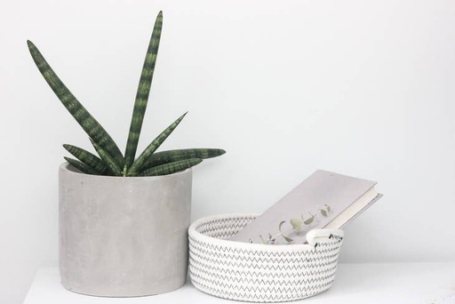 Concrete Cement Cylinder Planter Pot | 5"