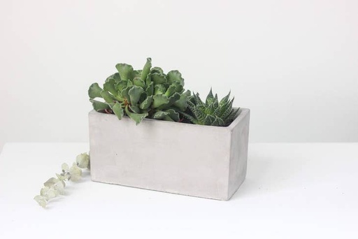 Concrete Rectangle Planter And Succulent Box | 8"