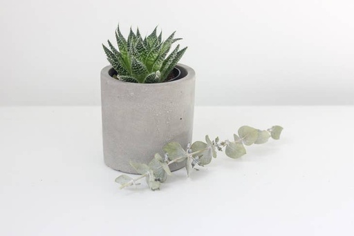Concrete Cement Cylinder Planter Pot | 3"