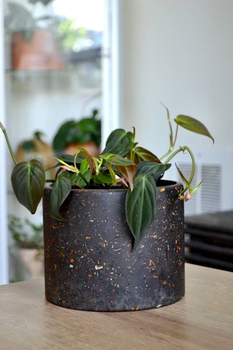 Zero Waste Terrazzo Planter Charcoal | 6"