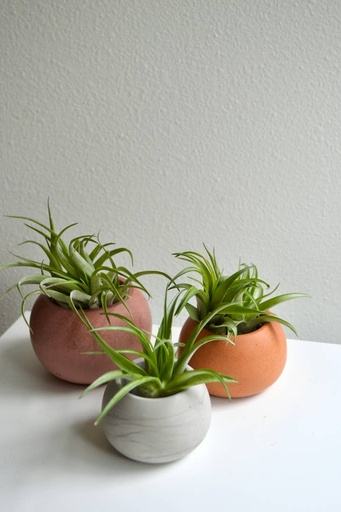 Round Ball Planter | Rust Red / Without / Mini