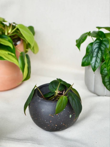 Round Ball Planter | Charcoal Terrazzo / Without / Mini