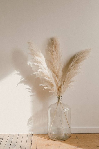Natural Fluffy Pampas Grass