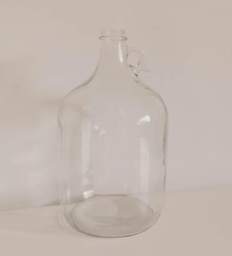 Mini Jug Vase